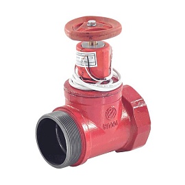 Клапан пожарный чуг Ду65 Ру16 ВР/НР с датч Апогей КПЧП 65-1 110036